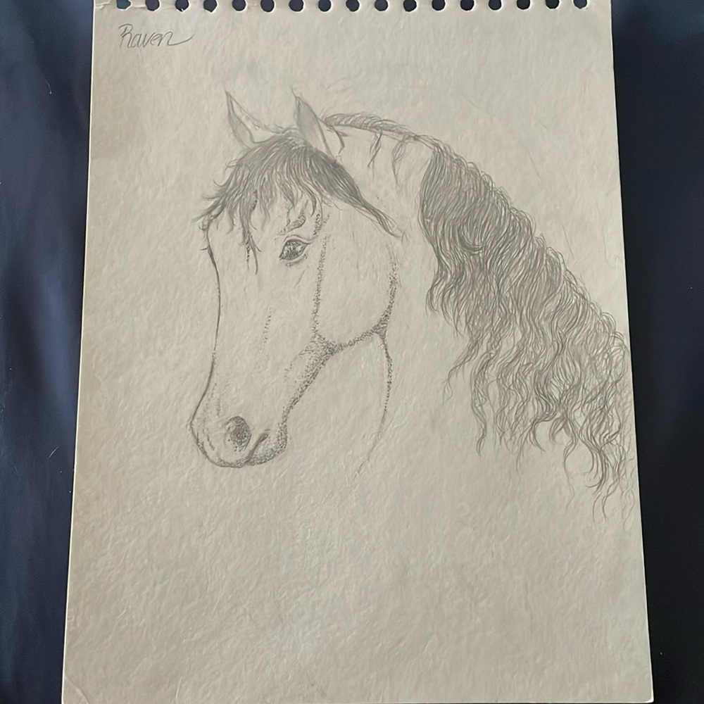 stippled horse drawing